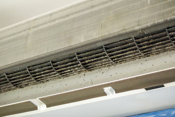 Best Air Duct Cleaning Cost  in Franklin, KY